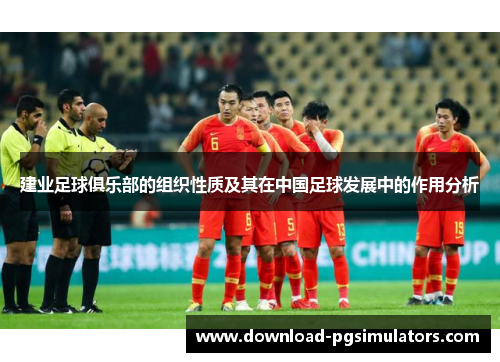 建业足球俱乐部的组织性质及其在中国足球发展中的作用分析